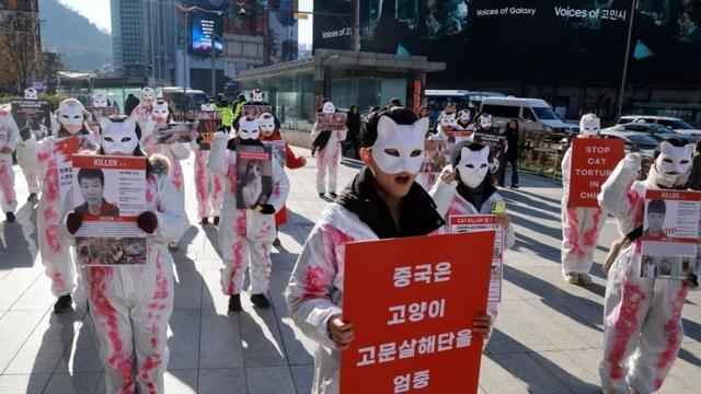 의외로 한국에서 하는 집회촌