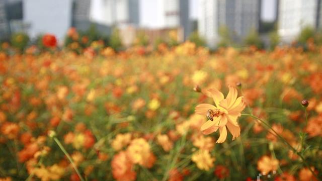 [이슈메이커] 작은 꽃 위에 머문 계절