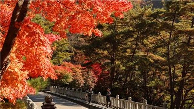 '여행하세요 산청'…극한호우 타격 산청군, 가을철 관광 활성화