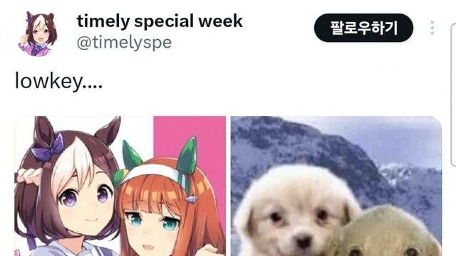 말딸 표절 논란ㄷㄷㄷ