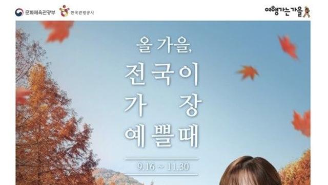 전국 곳곳 '가을여행' 활성화…
