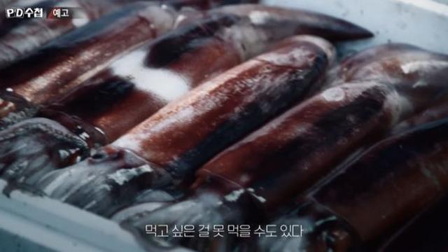 MBC ‘PD수첩’ 동해 오징어 실종 사건의 전말 편