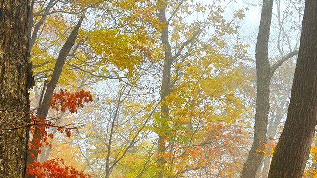 60대 여성이 이끄는 등산 여행 붐... 체력 맞춤형 '쉬운 산행' 인기