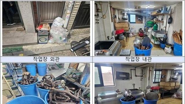 '녹용 절편' 1만근 무허가 제조…한의원 등 212곳에 유통
