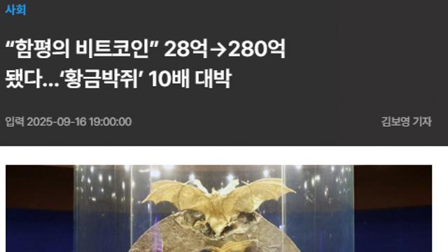 함평 황금박쥐상 280억 돌파
