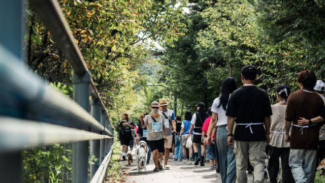 춘천, 반려동물 친화 도시로 거듭나다… 유기견 입양부터 산업박람회까지 총망라