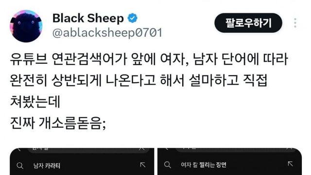 안 지금 트위터에서 돌고 있는 음모론