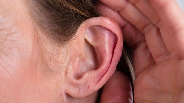 일반난청과 헷갈리는 '이 질환'…MRI기반 진단법 나왔다