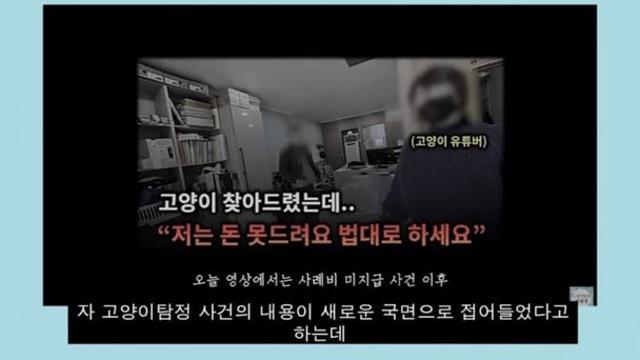 반년 전에 야옹이 찾아줬더니 먹튀했다가 사건반장 갔던 아줌마 근황