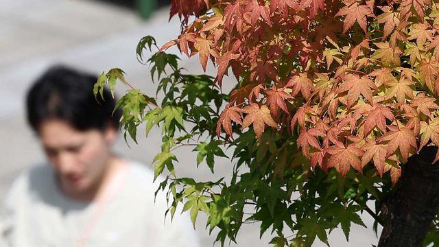 9월 되어서도 그렇게 더웠는데…다음주, 드디어 반가운 날씨 소식 전해졌다