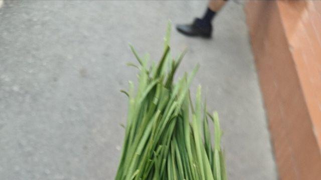 최신 북한의 일상은? 