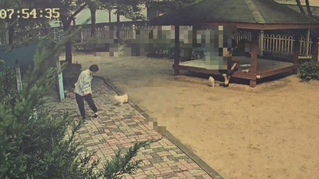 산책 중 개물림 피해자에 견주 “언제 물었냐” 오리발