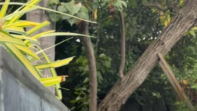 '최강 동안' 장나라, 44세 나이 잊은 청량한 수영장 근황