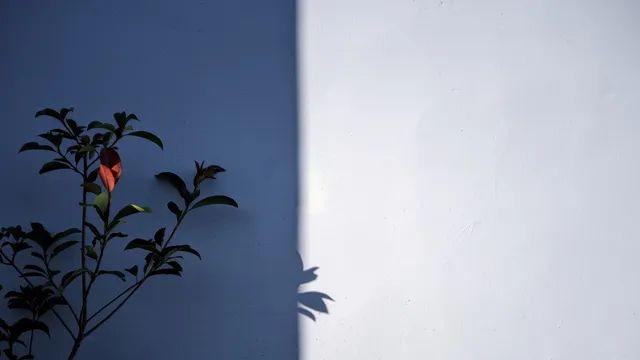 미세먼지4 시골 노가다엔 폰카 유작