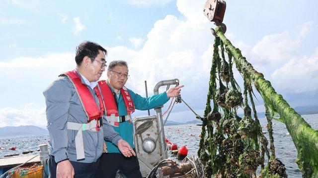 창원시, 산소부족 물덩어리 피해 양식장 방문…