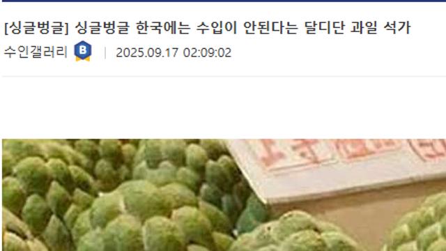 한국에 수입이 안된다는 석가