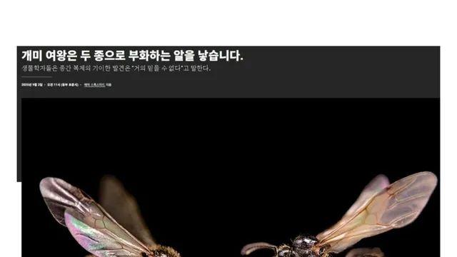 최근 생물학자들이 기겁한 황당한 개미