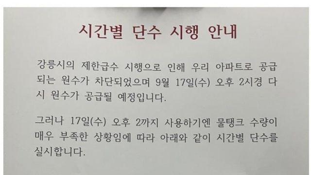현재 강릉 시민들 상황 ㄹㅇ..jpg