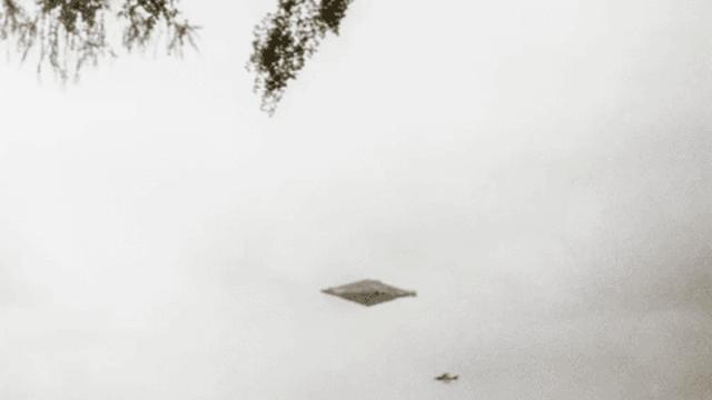 32년만에 공개된 UFO 사진..jpg