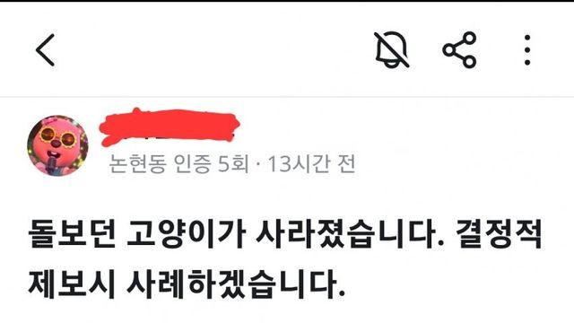 길바닥에 방목사육하는 인간들 결말