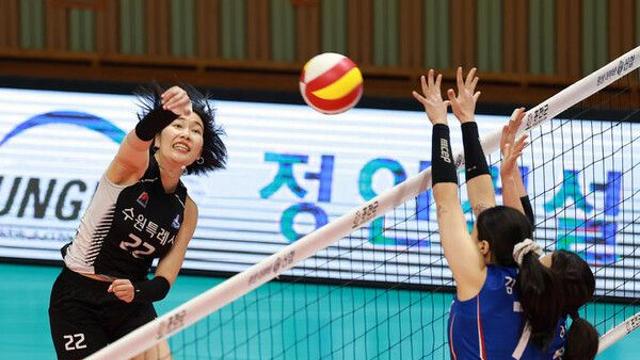 실업배구종합선수권대회 20일 충북 단양서 개막