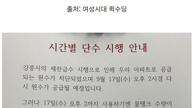 현재 난리난 강릉시민들 상황