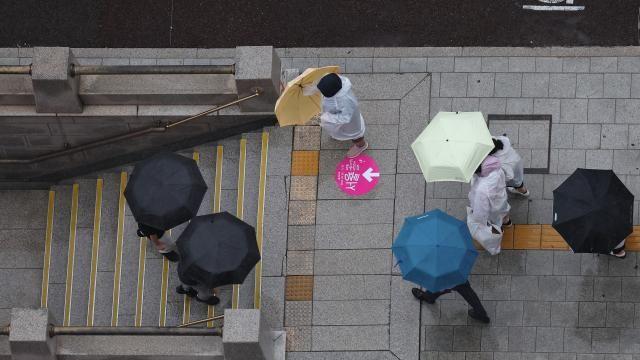 [내일날씨] 전국 구름 많고 곳곳 비...낮 최고 22∼28도