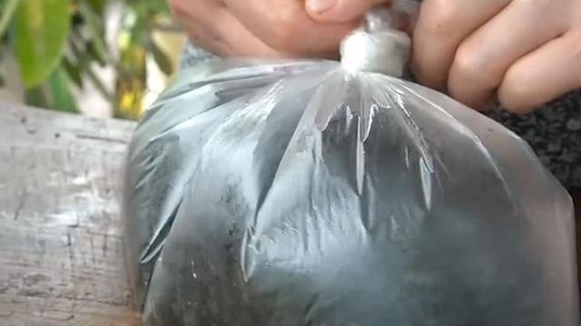 1만원대 초반이면 만들 수 있는 김자반, 오래오래 '바삭하게' 즐기는 법