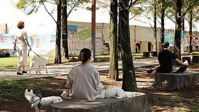 나무와 함께 발전한 문명…신간 '나무의 시대'