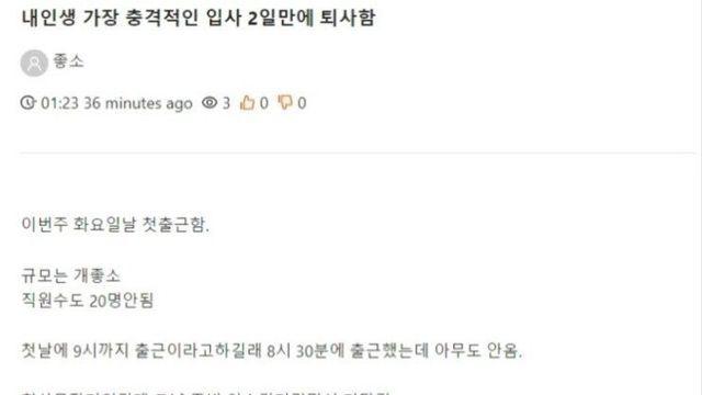 회사 2일만에 퇴사 썰
