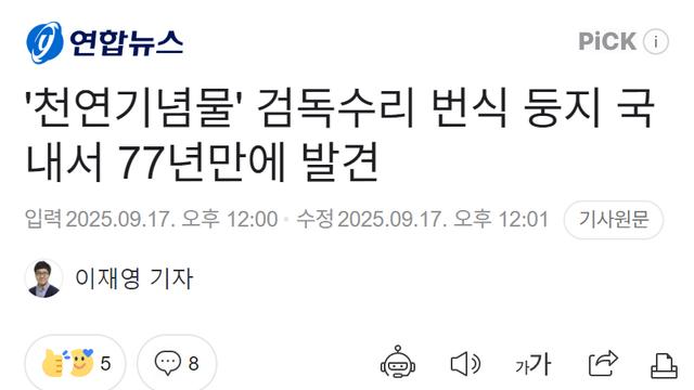 '천연기념물' 검독수리 번식 둥지 국내서 77년만에 발견