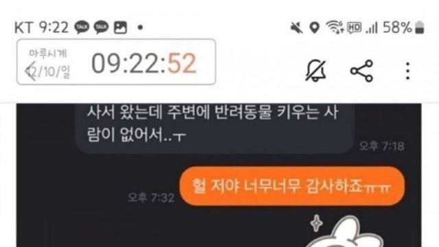 혼돈의 당근마켓 후기