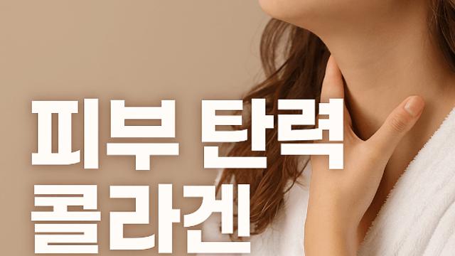 피부 탄력 개선 콜라겐 영양제 효과 느끼는 방법과 추천
