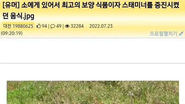보양식으로 낙지를 먹었다는 소