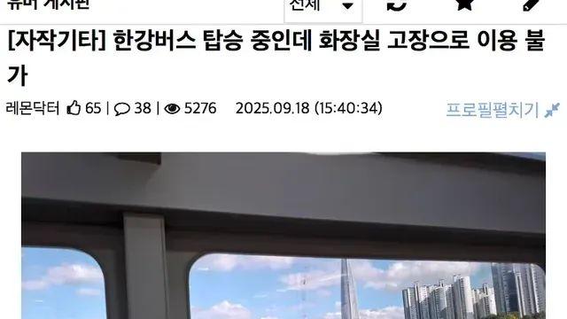 오늘자 한강 버스 근황