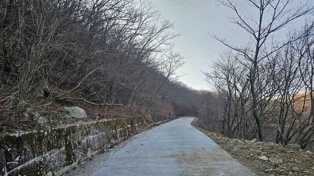 울주군, 추석 전후 임도 한시적 개방…성묘객 편의 제공