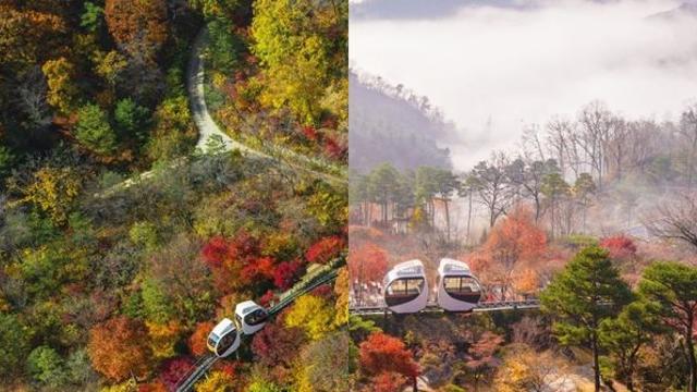 올해도 시작됐다… 수도권 최고 단풍 명소 ‘화담숲’ 사전 예약 (+날짜)