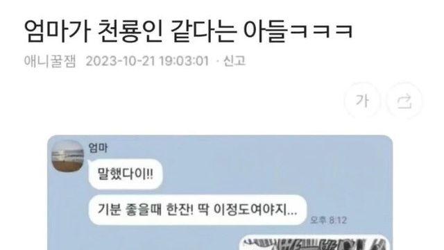 엄마가 천룡인 같다는 아들
