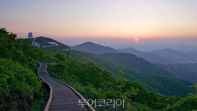 별빛 머금은 한방 힐링에 행복해지는 '영천 여행'