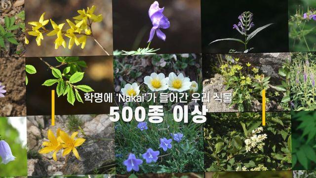 이수지-서경덕, 광복 80주년 '식물 주권' 알리는 영상 공개