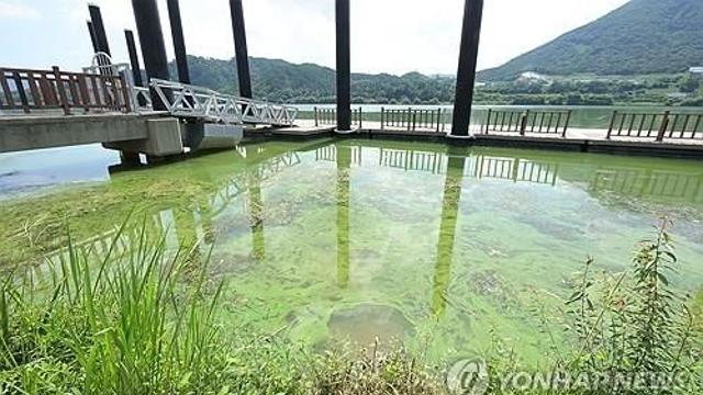 낙동강 물금매리·칠서 지점 조류경보 '관심' 단계로 하향