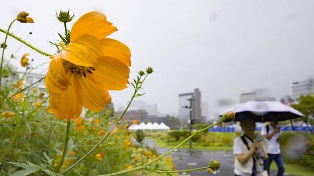 전북, 낮 23~26도 흐림…밤사이 강하고 많은 비