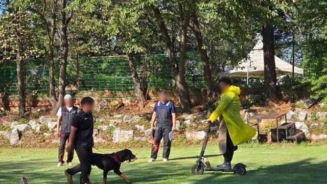 경기도, ‘맹견사육허가’ 안 받으면 1천만 원 이하 벌금