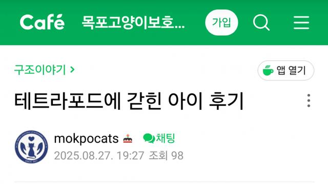 야생고양이 구하려 119부른 캣맘
