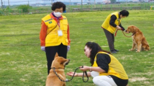 농촌진흥청, 반려견·농장 동물과 교감 스트레스 확 줄어든다