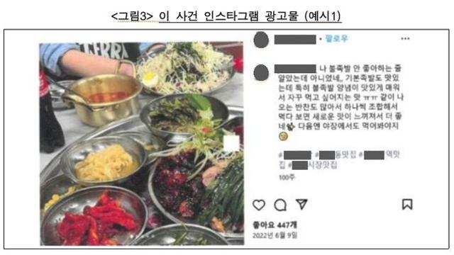 인플루언서 모아 '뒷광고'한 대행사, 공정위 시정명령