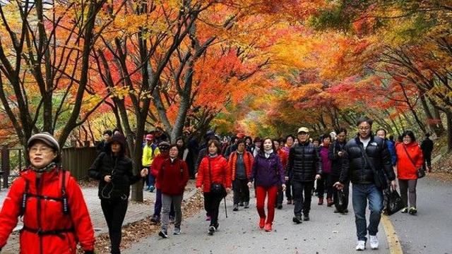 '선선해진 날씨' 등산 가는건 좋은데…실족·조난 10월 '최다' 주의