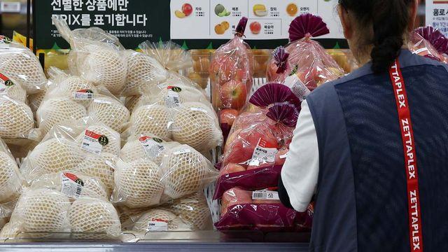 드디어 내일부터 시작…치솟던 가격, 반토막으로 돌아온 ‘국민 밥상 필수품’