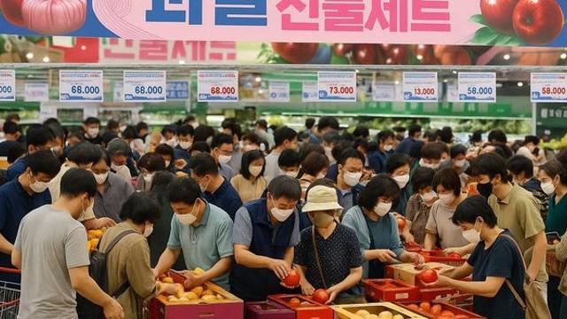 금값이던 가격 풀리자…고급 과일 꺾고 추석 선물 1위 오른 ‘이 과일’ 정체