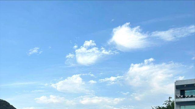 진주연, 깅엄 체크 크롭탑으로 청량한 바캉스 무드 완성